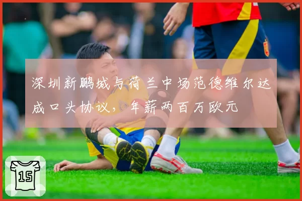 深圳新鹏城与荷兰中场范德维尔达成口头协议,年薪两百万欧元