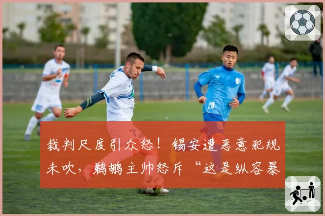 裁判尺度引众怒！锡安遭恶意犯规未吹，鹈鹕主帅怒斥“这是纵容暴力”