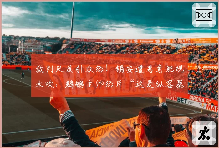 裁判尺度引众怒！锡安遭恶意犯规未吹，鹈鹕主帅怒斥“这是纵容暴力”