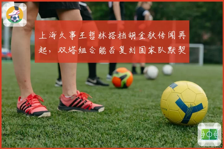 上海久事王哲林搭档胡金秋传闻再起,双塔组合能否复刻国家队默契